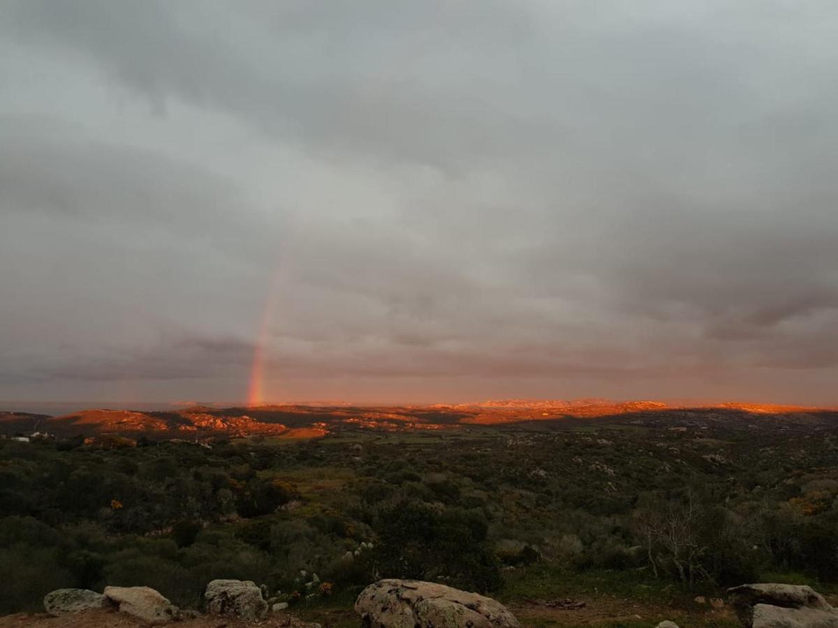 B&B Bell'Alba Santa Teresa Gallura Exteriér fotografie